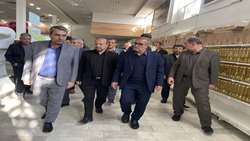 نظارت بر روند توزیع و قیمت کالاهای اساسی در کهگیلویه و بویراحمد